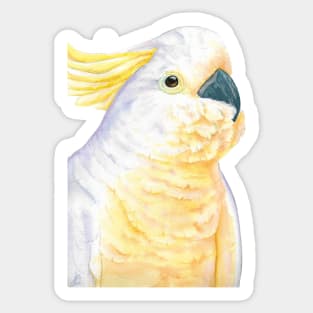 watercolor yellow-crested cockatoo face the sunrise - portrait painting parrot Sticker